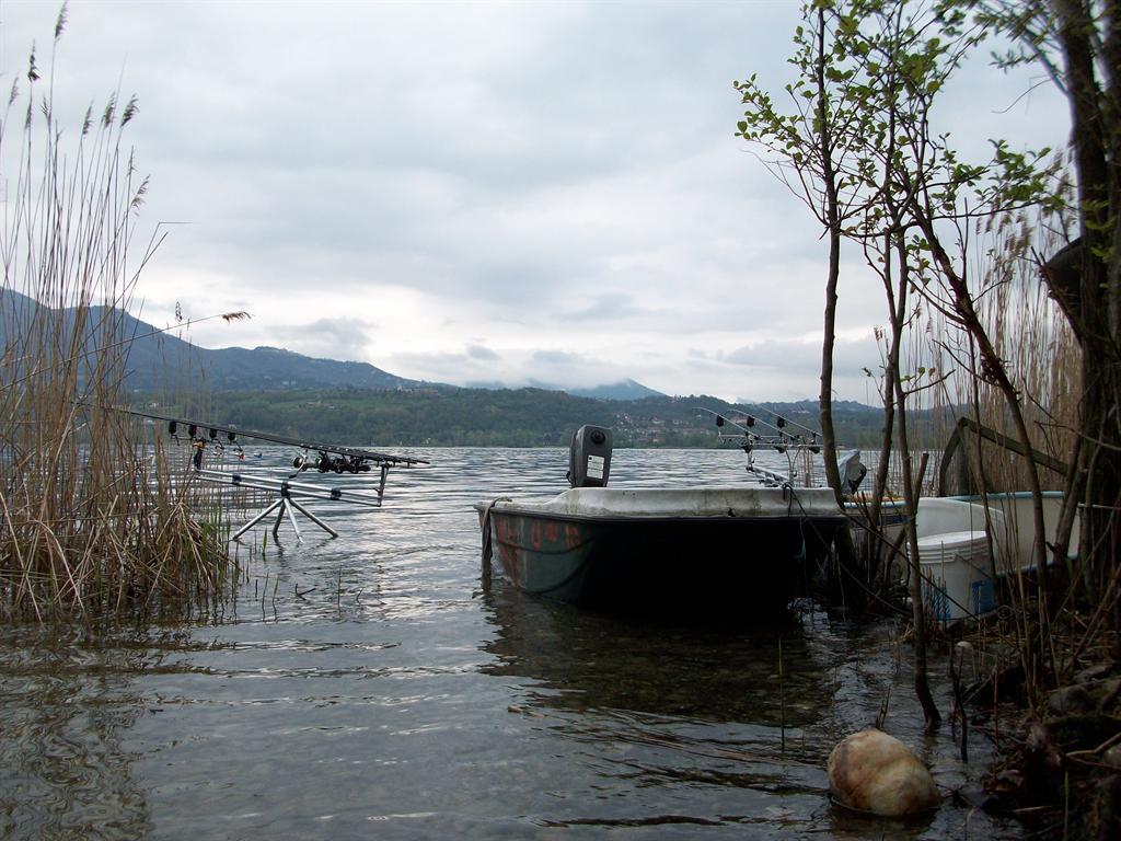 din natura - luigi-record-select-baits.jpg